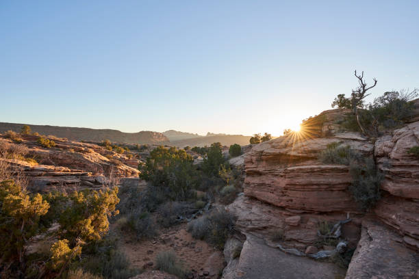 istock Evening in the Utah desert 1826913057