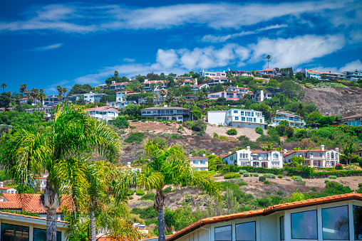 Rancho Palos Verdes Vegetation on a sunny day