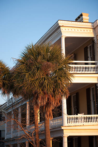 istock Palmetto Palm Tree On Rainbow Row 182691447