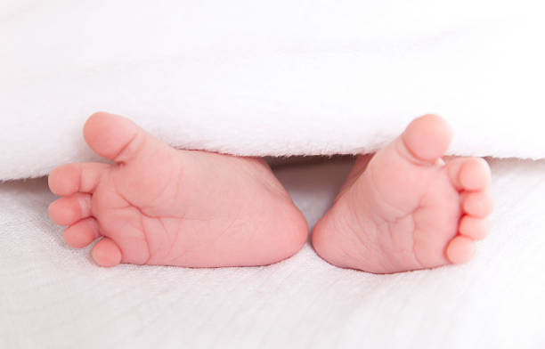 newborn baby cuadrados bajo una manta - baby baby blanket human foot towel fotografías e imágenes de stock