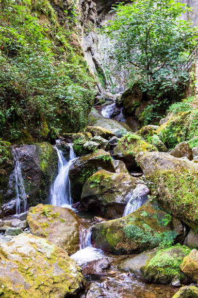 istock water stream from Makhuntseti Waterfall in Adjara 1826914724