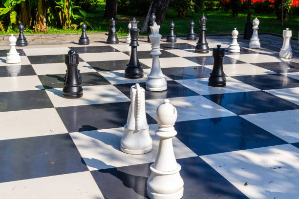 바투 미의 야외 플로어 체스의 큰 그림 - bishop georgia 뉴스 사진 이미지