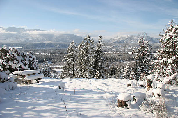 istock Crisp Winter Landscape With Deep Snow 182691978