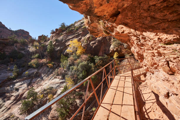 istock Metal and wood walkway with view 1826922162
