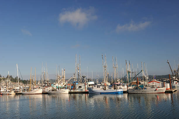 istock Fishing Boats 182692415