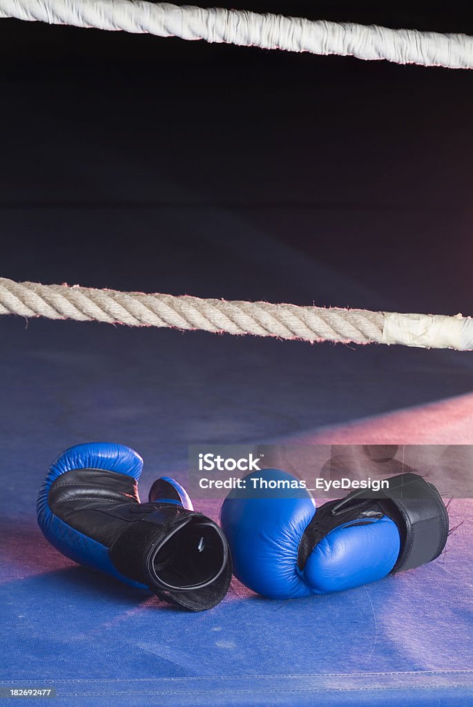 Голубой Boxing Gloves - Стоковые фото Благополучие роялти-фри