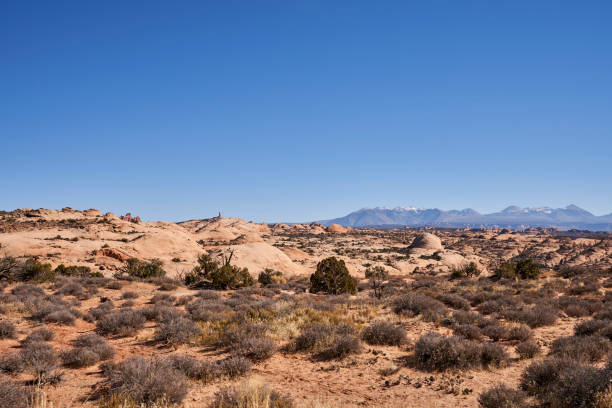 istock Petrified Dunes and the La Sal Mountain Range 1826931420