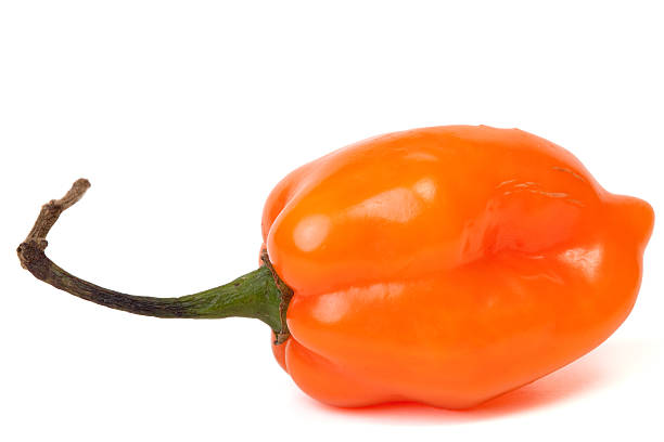 Fresh ripe Caribbean red habanero hot pepper on a light table background.