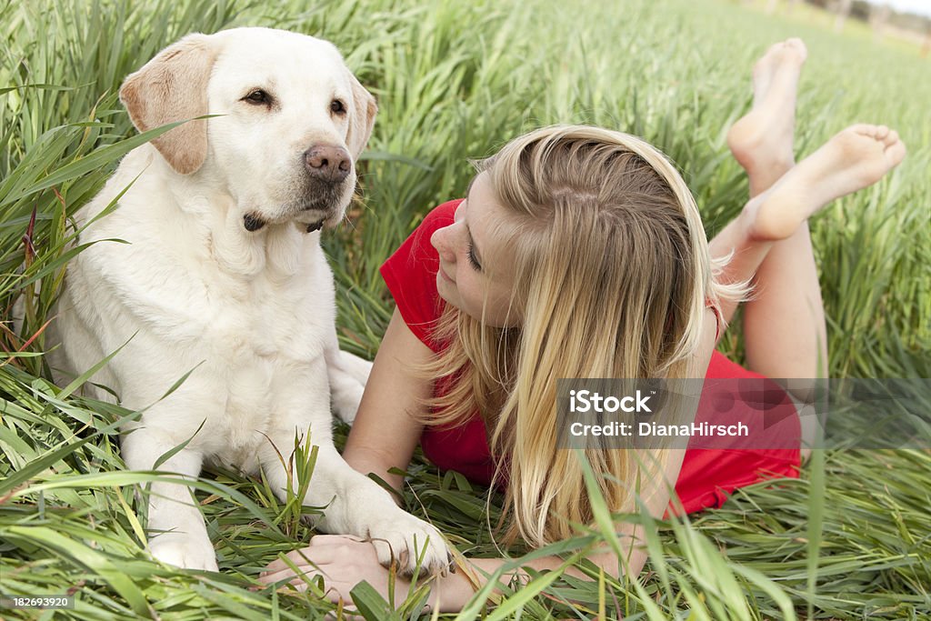 loving 犬 - 14歳から15歳のロイヤリティフリーストックフォト