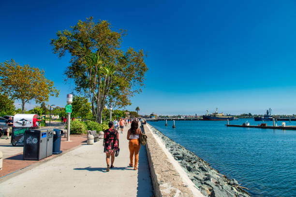 Laid-back scene in sunny San Diego, California, as a woman in a shorts takes a leisurely walk along a path beside a wooden fence. The charming neighborhood setting, with houses across the street, adds a touch of everyday warmth to this snapshot of the girl next door enjoying a daytime stroll