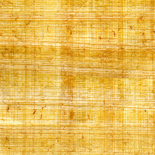 Papyrus Texture stock photo