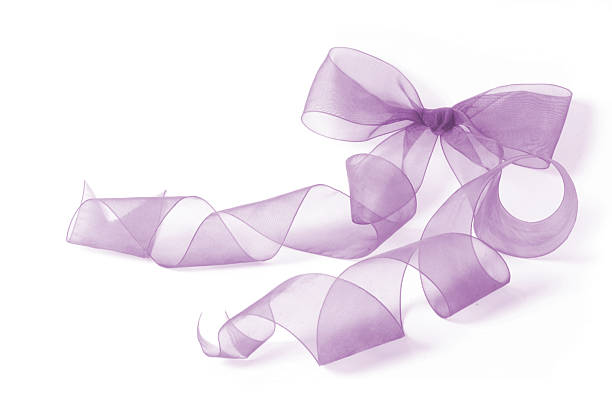 bow purple stock photo