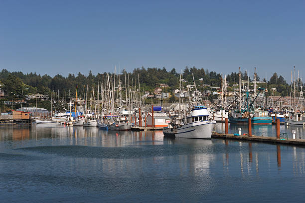 istock Fishing Boats 182694570