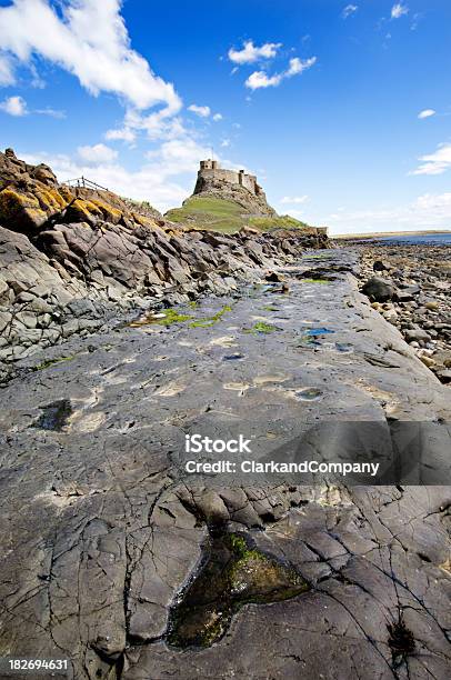 Lindisfarne Castle Northumberland Uk Stock Photo - Download Image Now - Beach, British Culture, Castle