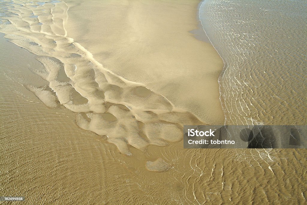 Sandbar shark in the Humber - Lizenzfrei Bach Stock-Foto