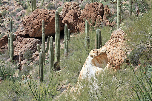 View from Gates Pass in Tucson, Arizona with saguaro cactus and interesting rocks.