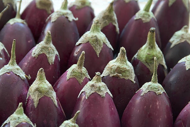 ovo de plantas - eggplant india food persian culture - fotografias e filmes do acervo