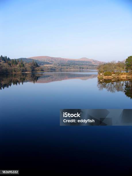 Burrator Reservoir Foto de stock y más banco de imágenes de Pantano - Agua estancada - Pantano - Agua estancada, Falso, Agua