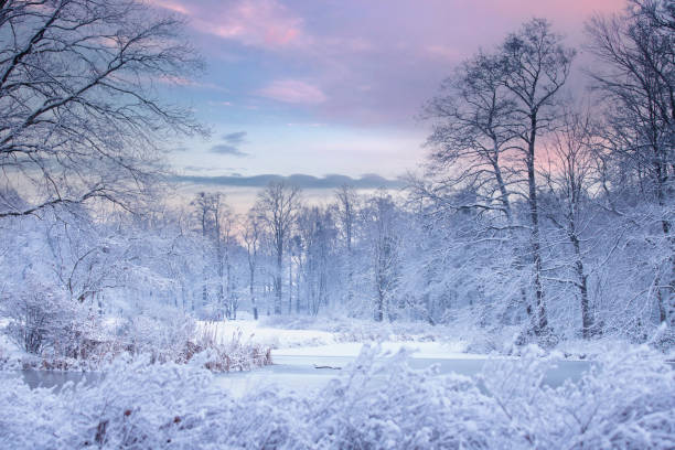 istock Winter morning in the park 1826953365