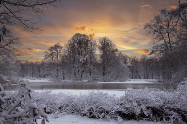 istock Winter morning in the park 1826953366