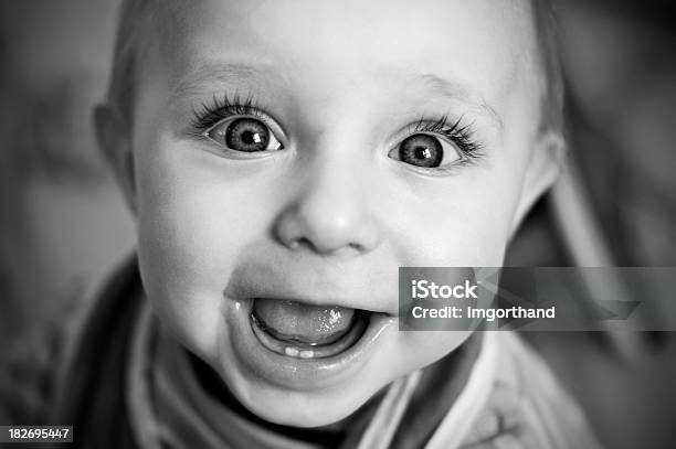 Cute Baby Stock Photo - Download Image Now - 6-11 Months, Babies Only, Baby - Human Age