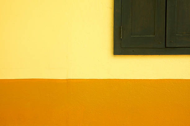 istock Caribbean Wall, Olive Green Shutters, Two-Tone 182695453