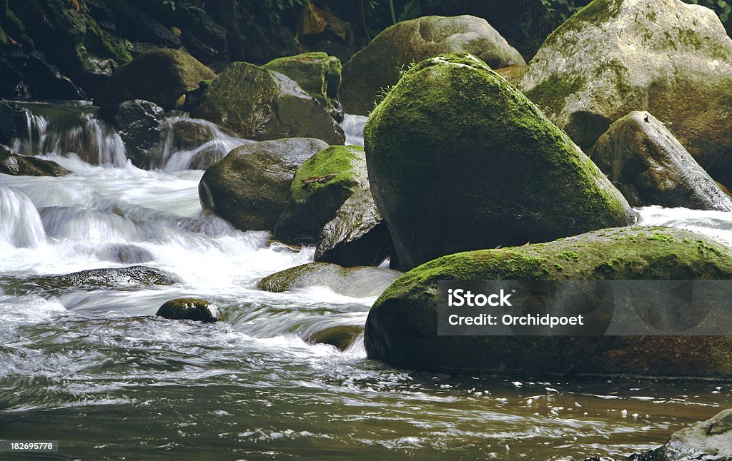 Water Running Through Rocks Clean water running through boulders in slow motion in the wildness in Guangxi Province China Backgrounds Stock Photo