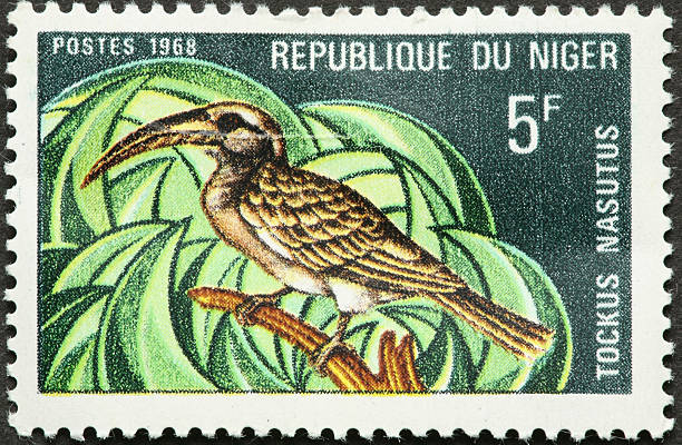 istock Toucan on Niger stamp 182695882