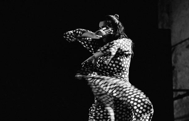 Flamenco because stock photo