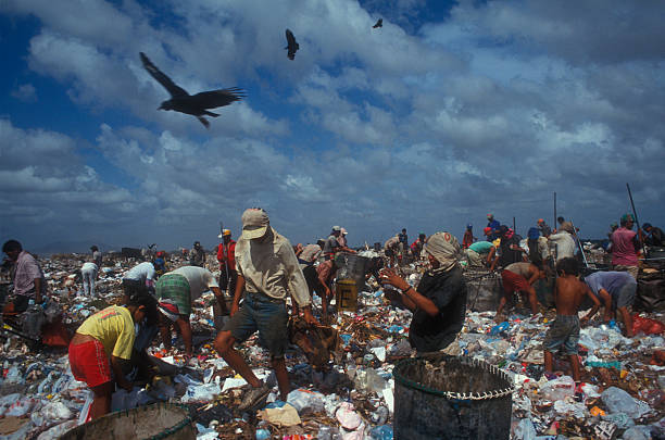 praca na wysypisko odpadów - landfill garbage dump garbage bird zdjęcia i obrazy z banku zdjęć