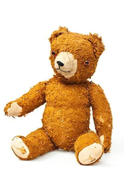 Photo of Teddy Bear