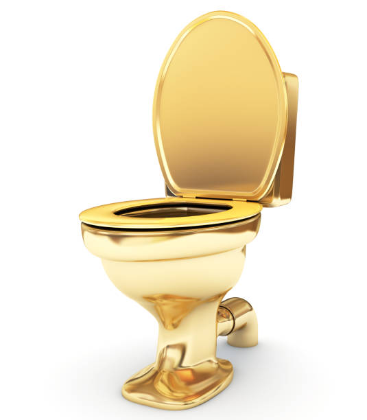 istock Golden toilet bowl as a  status 182697115