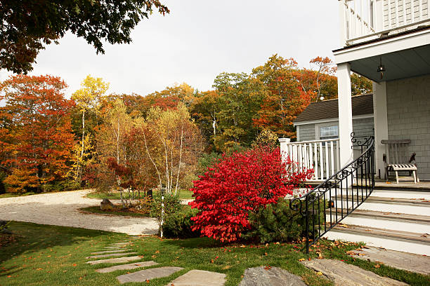 istock House entrance with red bush in fall 182697171