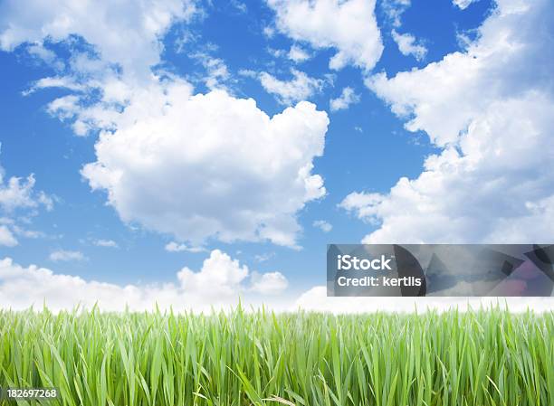 Green Gras Und Blauer Himmel Stockfoto und mehr Bilder von Biegung - Biegung, Bildhintergrund, Blau