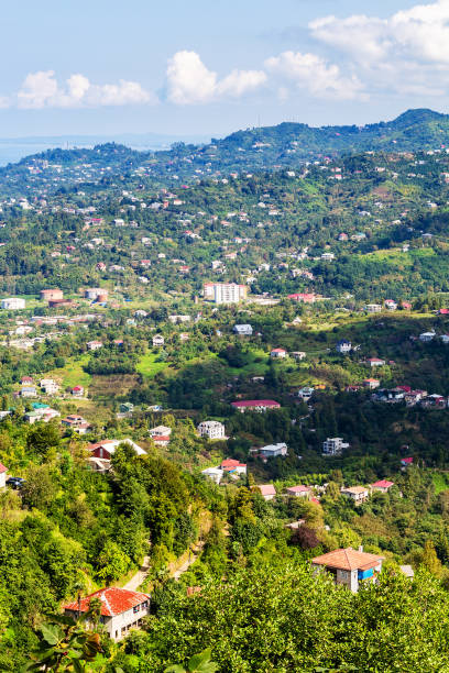 istock green suburbs of Batumi city from Sameba mountain 1826975409