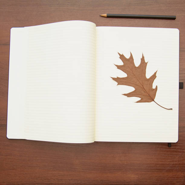 istock A beautiful pencil lies on a large notebook 1826976489