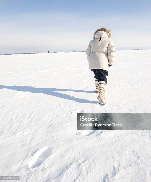 Woman Walks The Arctic Yellowknife Stock Photo - Download Image Now - Canada, Northwest Territories, Adventure