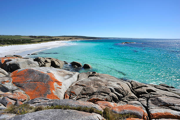 A stunning landscape of Bay of Fires Red rocks, Bay of Fires, East Coast in Tasmania, Australia bay of fires photos stock pictures, royalty-free photos & images