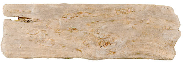 bois flotté - driftwood wood textured isolated photos et images de collection