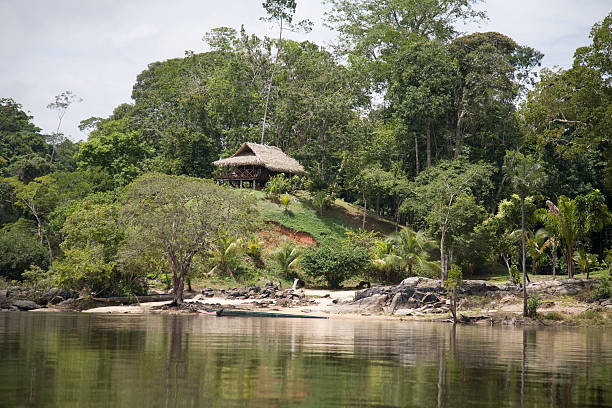 istock Suriname, Arapahu Island. 182699453
