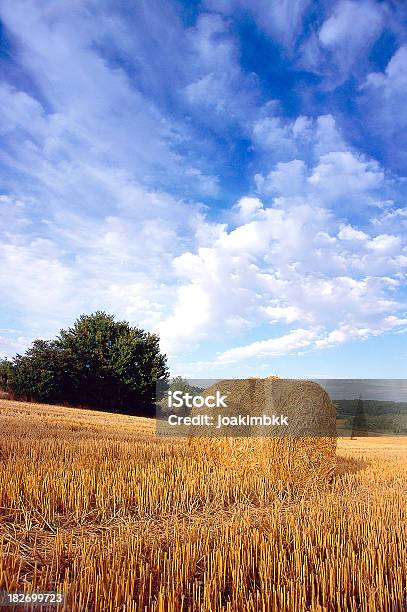 Straw Bale En Francia Foto de stock y más banco de imágenes de Agricultura - Agricultura, Aire libre, Almiar