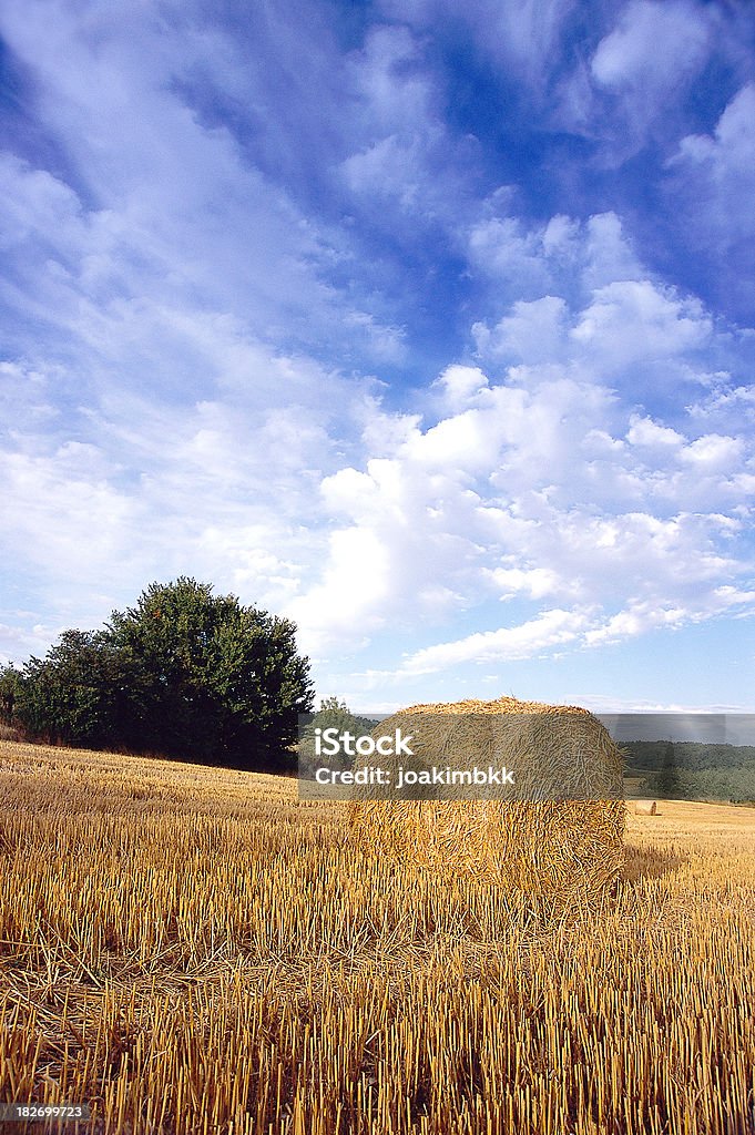 Fardo de palha em França - Royalty-free Agricultura Foto de stock