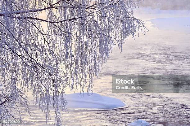 Baum Zweige Und River Water Einfrieren Stockfoto und mehr Bilder von Ast - Pflanzenbestandteil - Ast - Pflanzenbestandteil, Baum, Birke