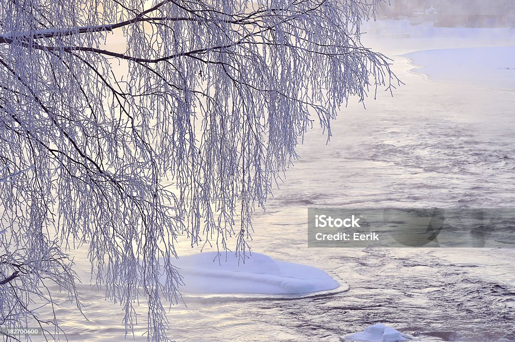 Ramas de árbol y el río agua helada - Foto de stock de Abedul libre de derechos