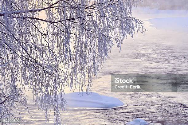 나뭇가지 및 강 저수시설 결빙성 0명에 대한 스톡 사진 및 기타 이미지 - 0명, 강, 겨울