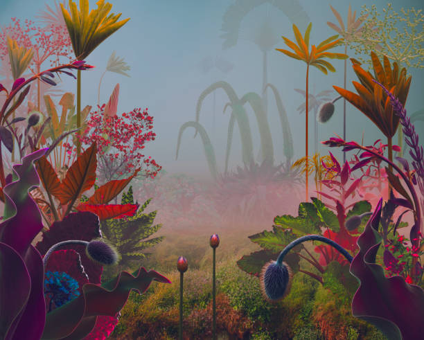 istock surreal fairy nature 1827012398