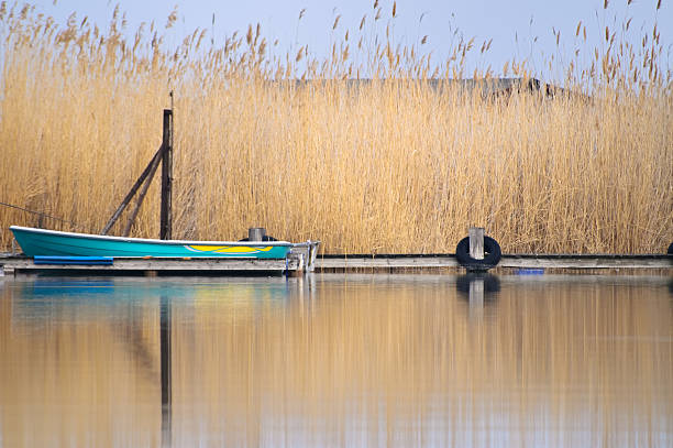 fishing лодка - riverbank marsh water pond стоковые фото и изображения