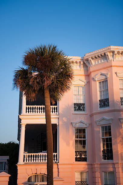 istock Palmetto Palm Tree On Rainbow Row 182701478