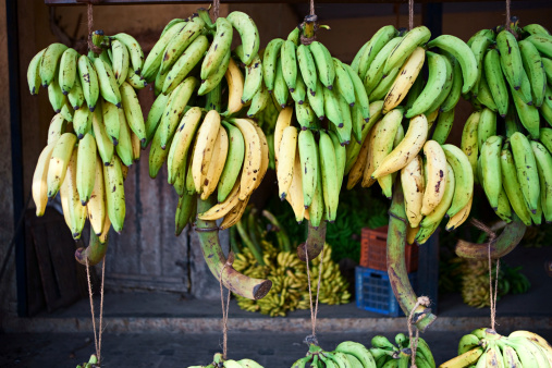 Bananas for sale, Kerala, India.