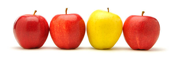Reihe von Äpfeln. – Foto